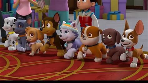 Paw Patrol All Pups Name Pets Lovers
