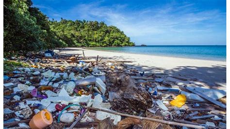 A Sea Of Voices Trends And Perspectives In Marine Plastic