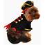 Anit Accessories Buccaneer Pirate Dog Costume 8 Inch