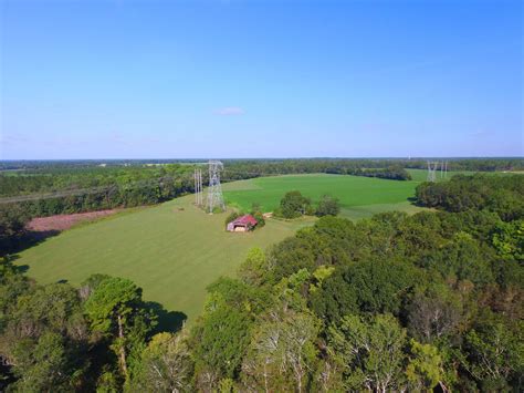 Land For Sale 700 Acres In Appling County Georgia