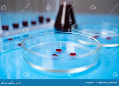 Petri Dishes And Test Tubes With Blood Samples On Table In Laboratory
