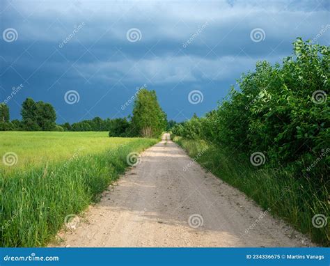 Gravel Country Road In Summer Green Fields Stock Image Image Of