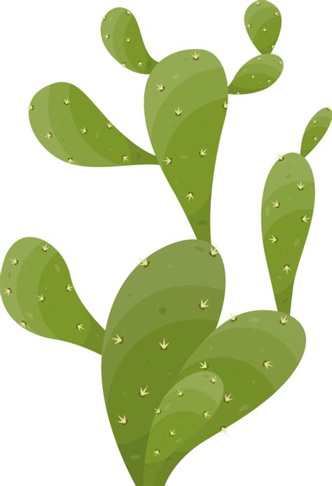 Free Cartoon Desert Cactus Plant 21612002 Png With Transparent Background