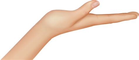 Pointing Finger Hand PNG Cutout PNG All