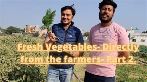 Fresh Vegetables Directly From Farm Youtube