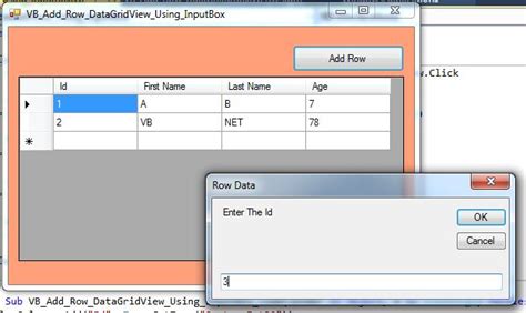 VB NET How To Add A Row To DataGridView From InputBox In VB NET C JAVA PHP Programming