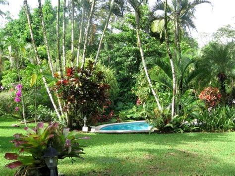 Tropical Garden Landscape Idea Tropical Backyard Landscaping Tropical