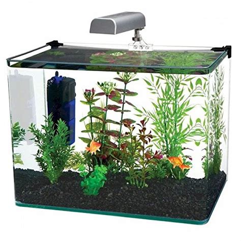 A Guide To Finding The Best 10 Gallon Fish Tank For You