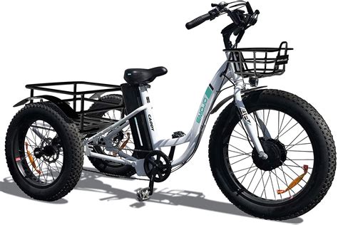 Best Electric Trike For Seniors Urbanvs
