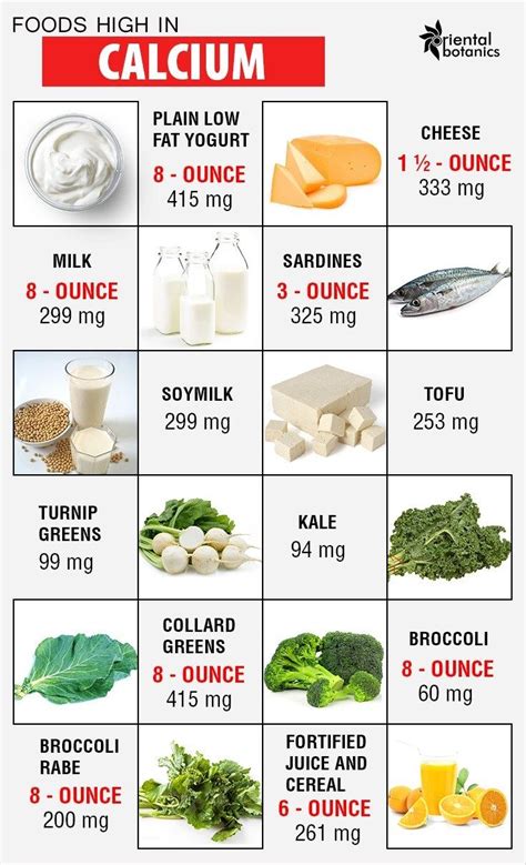 12 Best Calcium Rich Foods And Their Amazing Health Benefits Vitamin