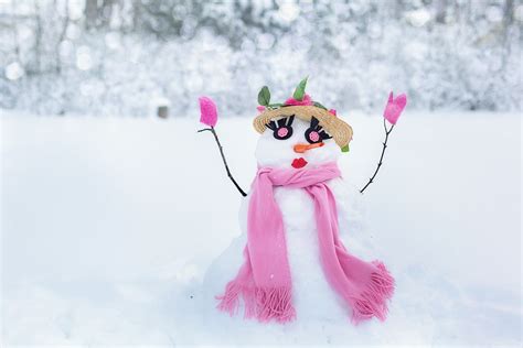Free Images Cold Winter Flower Weather Pink Toy Season