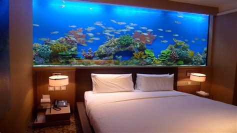 12 Incredible Home Aquariums That Will Get Your Creative Juices Flowing