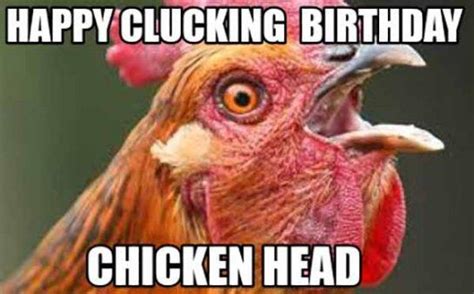 70 Funniest Chicken Meme Meme Central