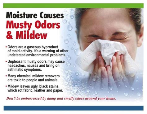Maybe you would like to learn more about one of these? How to get rid of musty smell? - TheDehumidifierExperts