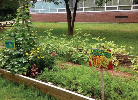 Sustainable School Teaching Garden Snap Ed