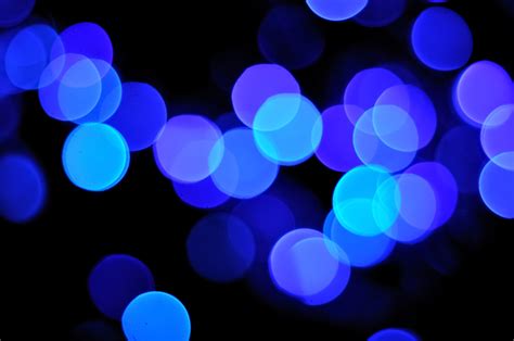 Blue Light Linked With Depressive Symptoms In Hamsters Study Suggests