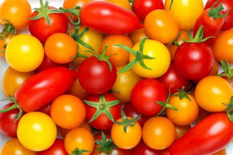 Tomato Harvest Garden Tips The Leaf Nutrisystem Blog