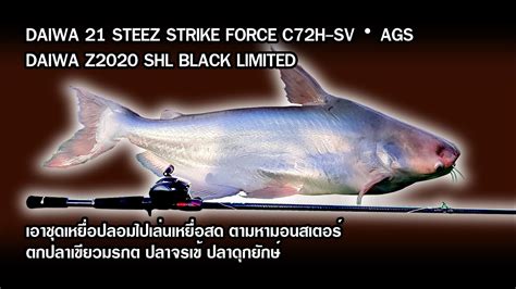 DAIWA STEEZ STRIKE FORCE DAIWA Z2020 ตามหามอนสเตอร ปลาจรเข ปลาเขยว