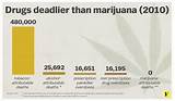 Marijuana Related Deaths