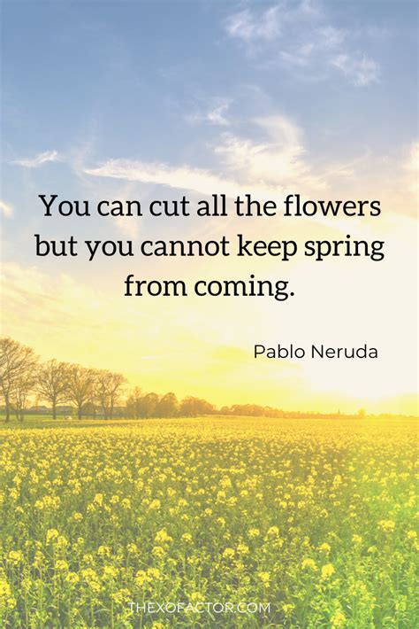 36 Beautiful Spring Quotes The Xo Factor