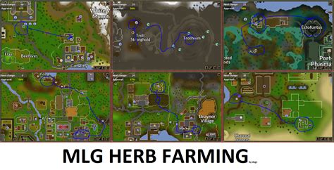 Where Are All The Herb Patches In Osrs Mastery Wiki