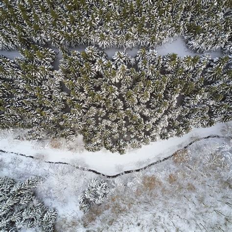 Snowy Trees Photo By Johny Goerend Johnygoerend On Unsplash