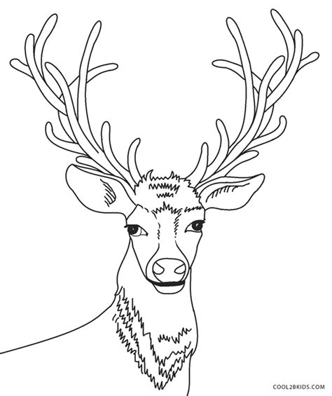 Printable deer head coloring pages. Free Printable Deer Coloring Pages For Kids | Cool2bKids