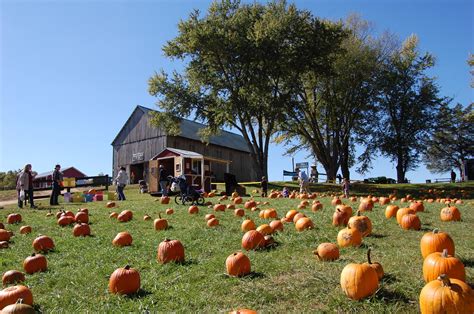 Buy or sell new and used items easily on facebook marketplace, locally or from businesses. 13 Charming Pumpkin Patches Near Washington DC