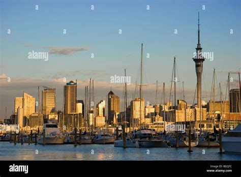 Westhaven Marina Auckland New Zealand Stock Photo Alamy
