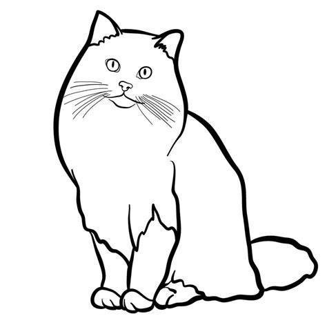 How to draw the Ragdoll cat - Sketchok easy drawing guides