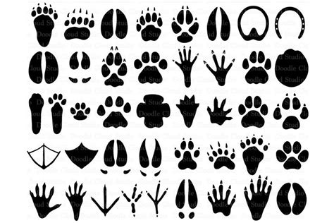 31 Animal Paw Svg Paw Prints Svg Files For Silhouette Cameo And Cricut