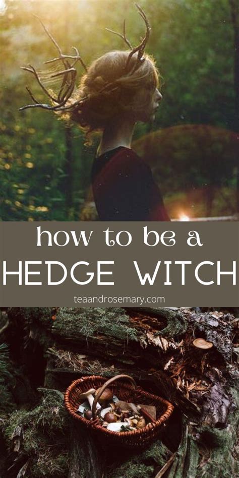 How To Be A Hedge Witch Solitary Practice Hedge Jumping And More