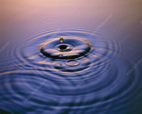 Ripples From Two Water Drops Stock Image A1800043 Science Photo