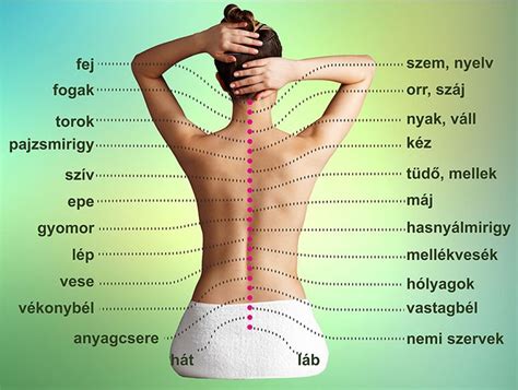 a hátfájás okait néha nagyon nehéz azonosítani a leggyakrabban a gerinc körüli izmok inak és