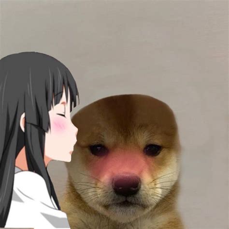 Doge Dog Doge Meme Alpha Dog Gato Anime Dog Icon Dog Hat A Silent