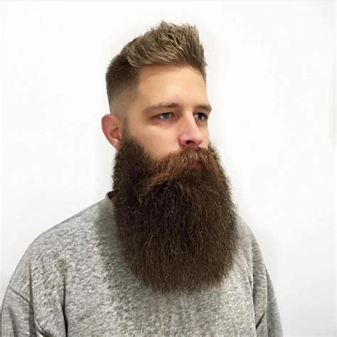 Clean Long Beardslong Beards Styles Beard Grooming Beard Styles