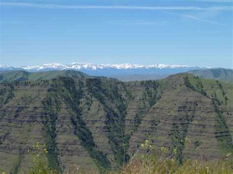 Oregon Hells Canyon National Recreation Area July 1st At 5 Mile