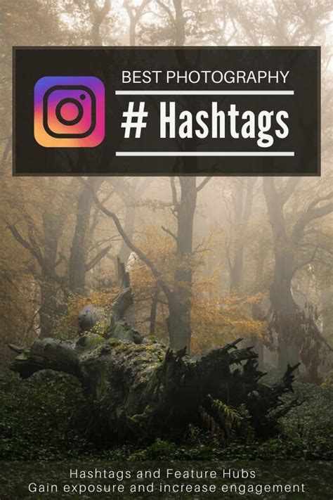 Nature Photography Hashtags And Landscape Feature Hubs In 2020