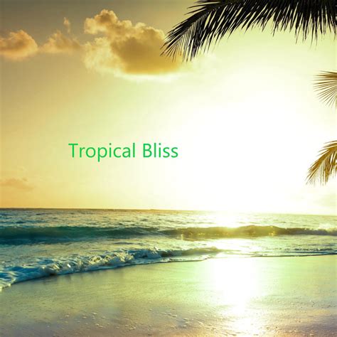 Tropical Bliss By Jroc2k On Spotify