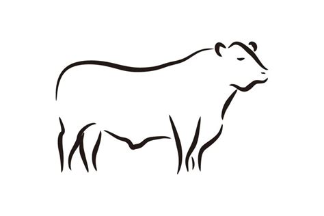 Angus Cow Cattle Logo Design Simple 1004112