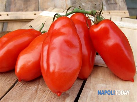 Torna Polp La Sagra Del Pomodoro San Marzano Dop Eventi A Napoli