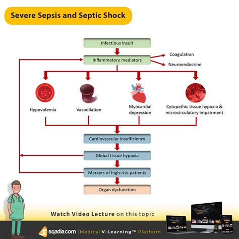 Severe Sepsis And Septic Shock Septic Shock Severe Sepsis Sepsis