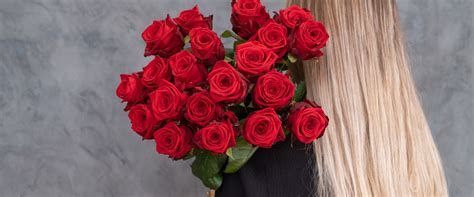 pourquoi les roses rouges et la saint valentin vont de pair van der plas