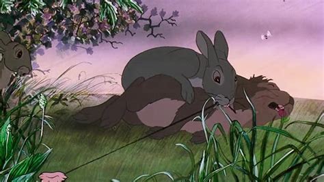 Watership Down 1978