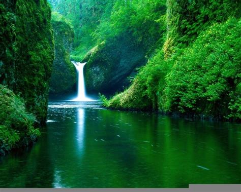 Free Nature Backgrounds Pictures - Wallpaper Cave