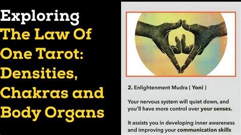Decoding Densitys Chakras And Body Systems With The Law Of One Tarot
