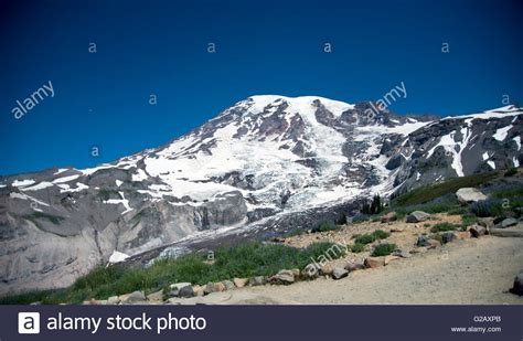 Top Of The Mt Rainier In Beautiful Summer Stock Photo Alamy