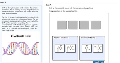 Dna contains the instructions for making what other biomolecule? Solved: Shown In The Picture, The Nucleotide Bases And Com... | Chegg.com