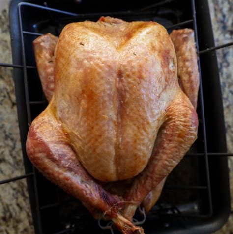 beginner roasted turkey for thanksgiving lauren s latest