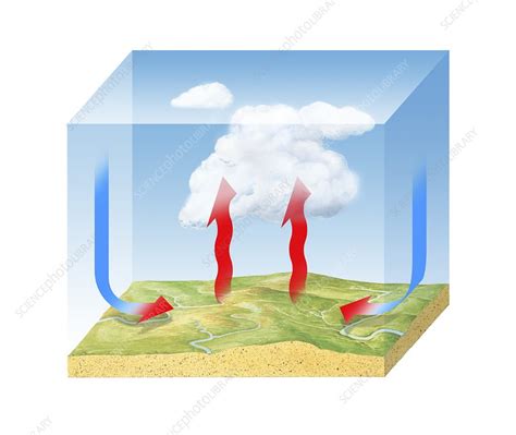 Convection Cloud Formation Diagram Stock Image C0144785 Science